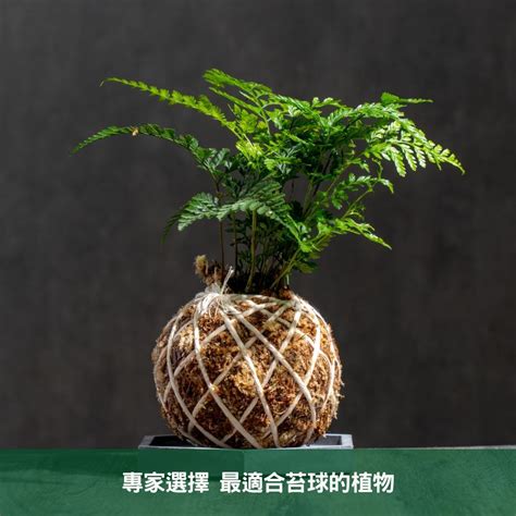 植物專家